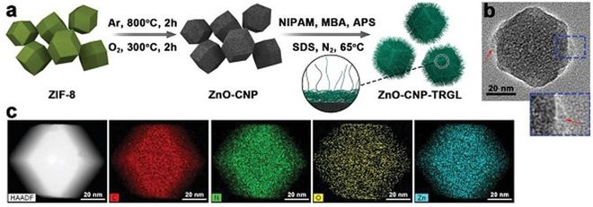四川大學程沖、趙長生團隊開發尺寸可變碳納米材料用于化學聯合光熱抗菌合成材料